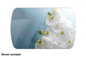 Стол Бостон 2 (1100*700) опоры Брифинг (Стекло/фотопечать Белая орхидея) в Урае - uraj.germes-mebel.ru | фото